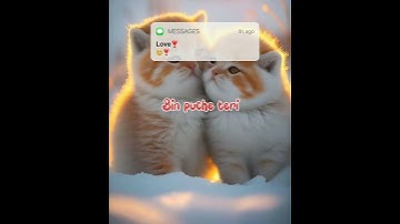 Lofii Love Songs❣️#lofi #love #status #video #trending #viral #youtube #reels #cat