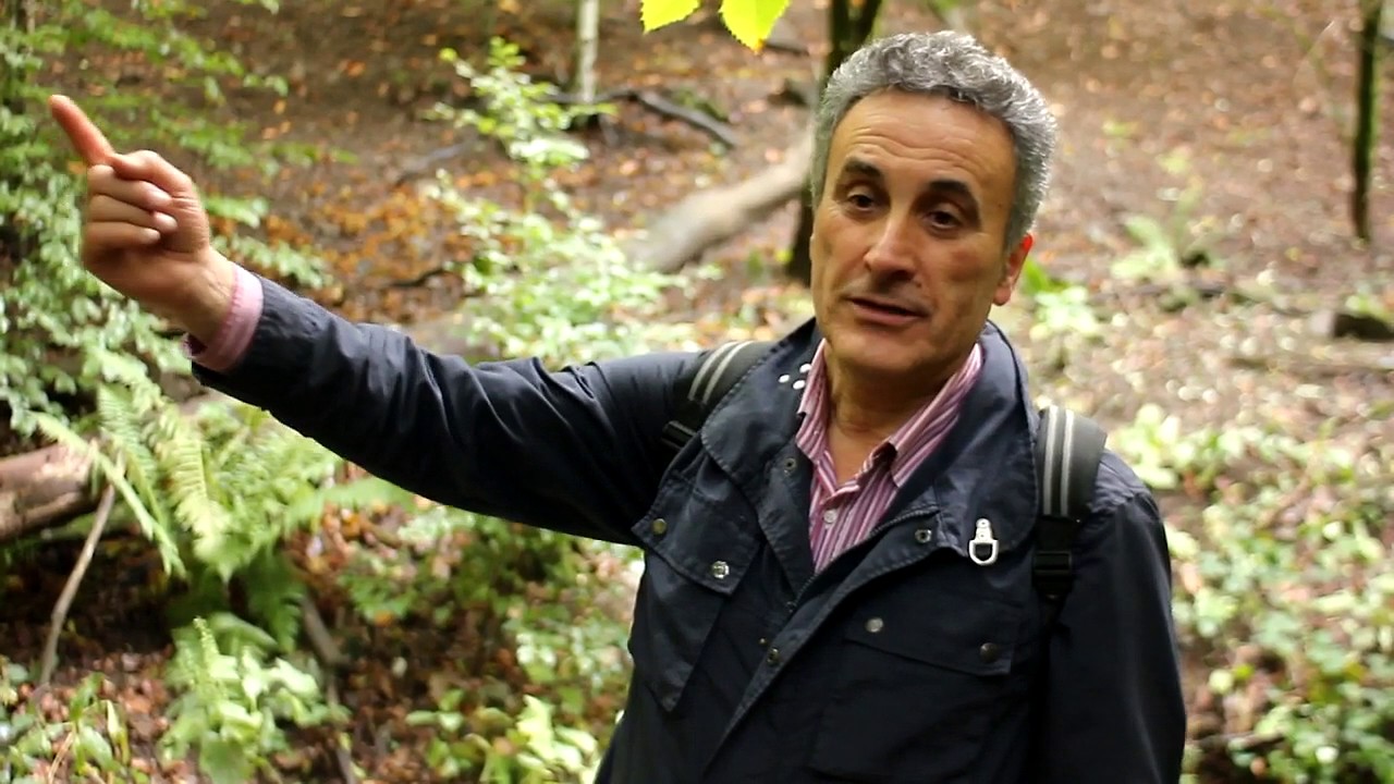 A Pesca di Misteri - Viaggio in Casentino 1 parte