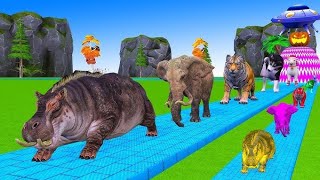 Giant Stucked. Cartoons, Cow, Giraffe, Elephant, Lions Paint Wild Animals cotton may #,Z44