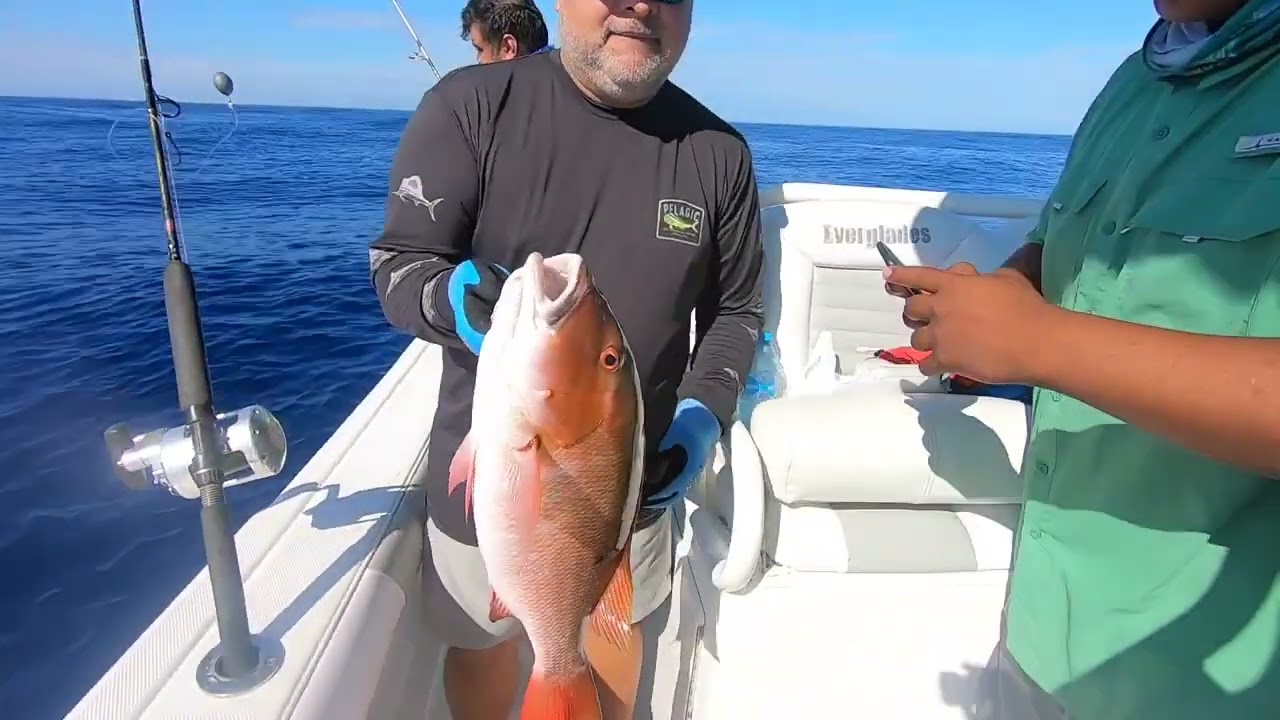 Захватывающая рыбалка в Канкуне во время скоростной джиговой ловли у берегов Коронадо 2.
