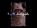 عصافير الجنة يا توتة 