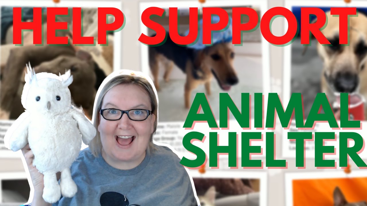 Help Support No Kill ANIMAL SHELTER Thank You to Noel FarmGirlScanger