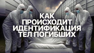 Эвакуация и опознание погибших военнослужащих армии РФ