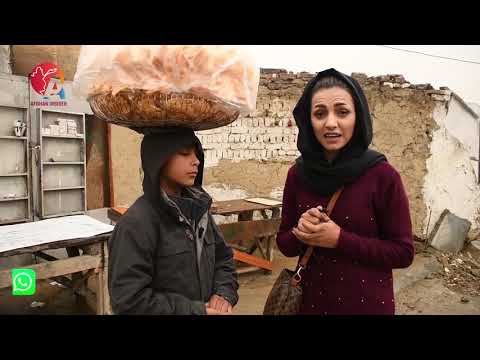 تصویری: منظره گران در زمستان چه می کنند؟