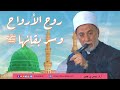 رحمة النبي ﷺ بالأكوان