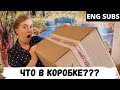 Что в коробке? - Австралийцы в России - ENG SUBS