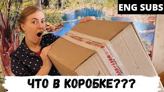 Что в коробке? - Австралийцы в России - ENG SUBS