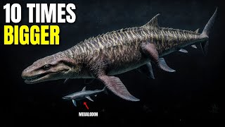 7 Extinct Sea Monsters That Make Megalodon Look Small | Documentary For Sleep