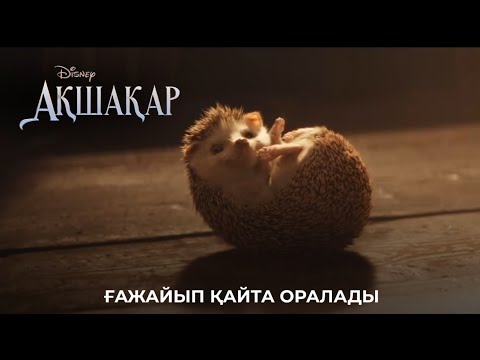 Транссексуалдық мультфильм