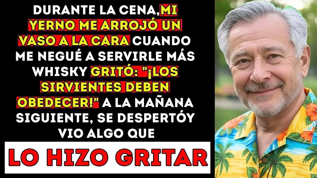 Durante La Cena, Mi Yerno Me Arrojó Un Vaso Porque Me Negué A Servirle Más Whisky