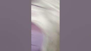 guys my first loop video #funny