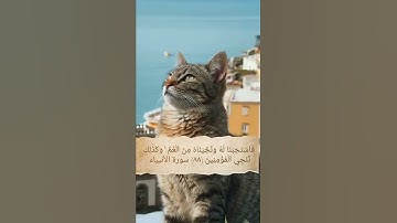 لا تهرب القرآن الكريم لأنه يشفع يوم القيامة 🥰