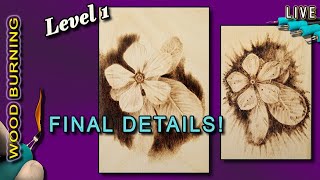 Pyrography (Level 1): Learn how to wood burn Final Details like a Pro in less than an hour!