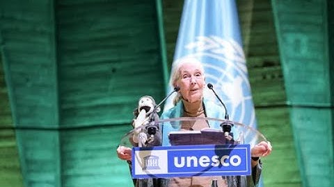 UNESCO pays tribute to Dr. Jane Goodall