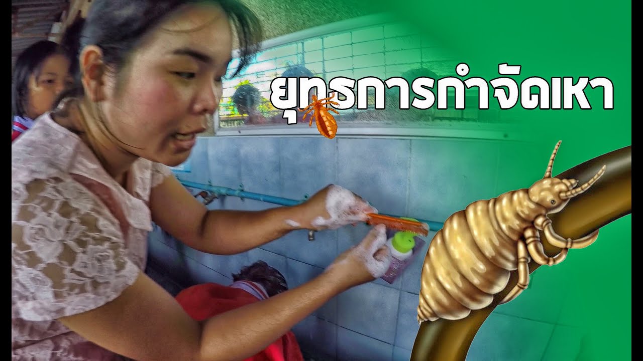 ครูนกเล็ก | ยุทธการกำจัด 