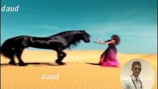 #video New Song 2021 | Shone Mukhde To Nazar Hatawa Full Song | New Hindi Bollywood Song #daud MUSIC