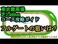 東京競馬場芝2400m攻略コースガイド！頭数が多いと有利なのは？日本ダービー、ジャパンカップ、オークスの舞台を知れ！