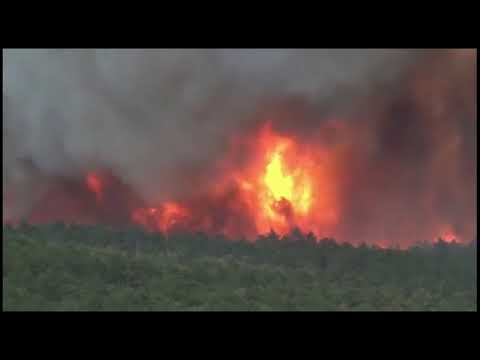 Video: Mistični šumski Požari - Alternativni Prikaz