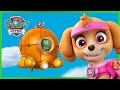 Los cachorros salvan el submarino volador - PAW Patrol Episodio Español - Pup Tales