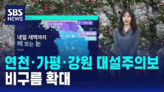[날씨] 연천·가평·강원 내륙 대설주의보…비구름 확대 / SBS