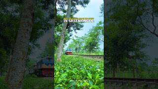 Most beautiful train tracking in sreemongol