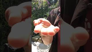 3 Animals You Didnt Know Were In The Uk