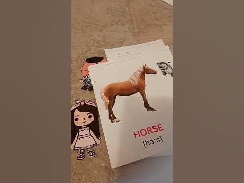 25.03.04 What can you draw? YouTube