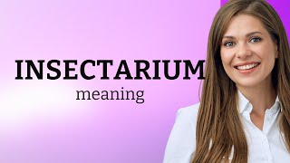 Unveiling The World Of Insects Discover The Insectarium