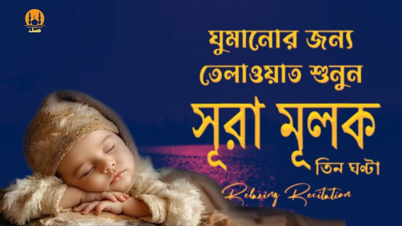 প্রতিদিন ঘুমানোর আগে সেরা কুরআন তিলাওয়াত শুনুন । BEST QURAN TILAWAT | BEFORE DEEP SLEEP