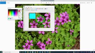 Greenshot Tutorial The Free Screenshot Tool You Need