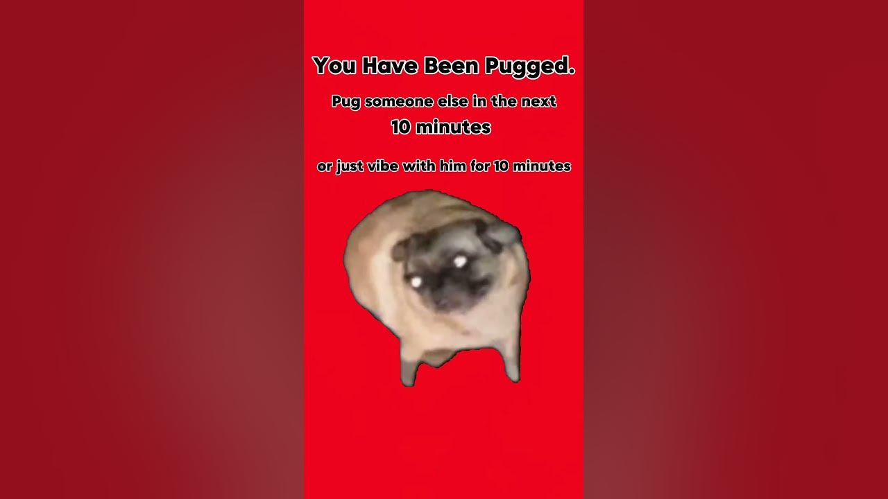You ve been pugged youtube