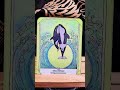 Animal Kingdom Orca Whale purpose