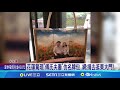 花蓮驚現&quot;傅氏夫妻&quot;仿名牌包 網:揹去逛東大門? 傅氏夫妻仿名牌包引熱議 花蓮縣府:非官方出品|記者 呂彥 黃澄柏 侯彩紅|【台灣要聞】20240601|三立iNEWS