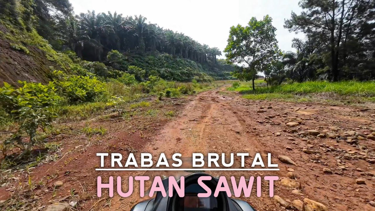 Perjalanan Menuju Bukit Tertinggi Di Tengah Hutan Sawit | Bukit Nyomot Subang