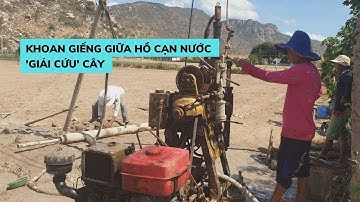 Nước hồ cạn đáy, nông dân phải ra giữa hồ khoan giếng tìm nước cứu cây