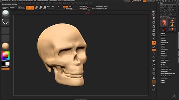 Zbrush Skull sculpt