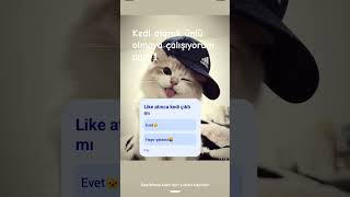 keşfete dus #keşfetbeniöneçıkar#keşfetedüş#shortvideo#shorts#cat#kedi#fyp