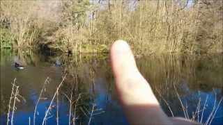 Island Recce for Future Canoe Trip & Overnighter
A bike recce of two islands along a canal to see if they are suitable for a wild camp overnighter.sorry about the shaky video ! Island Recce for Future Canoe Trip & Overnighter