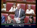 Gianmauro Dell&#39;Olio in Dichiarazione di voto 29/05/2024