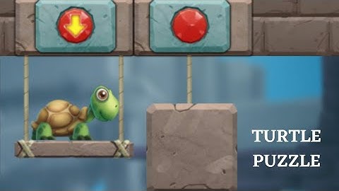 turtle puzzle brain puzzle games: level 7 to 12