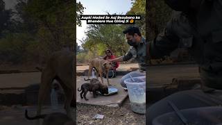 Kya Aap Inki Help karoge 🙌 #dog