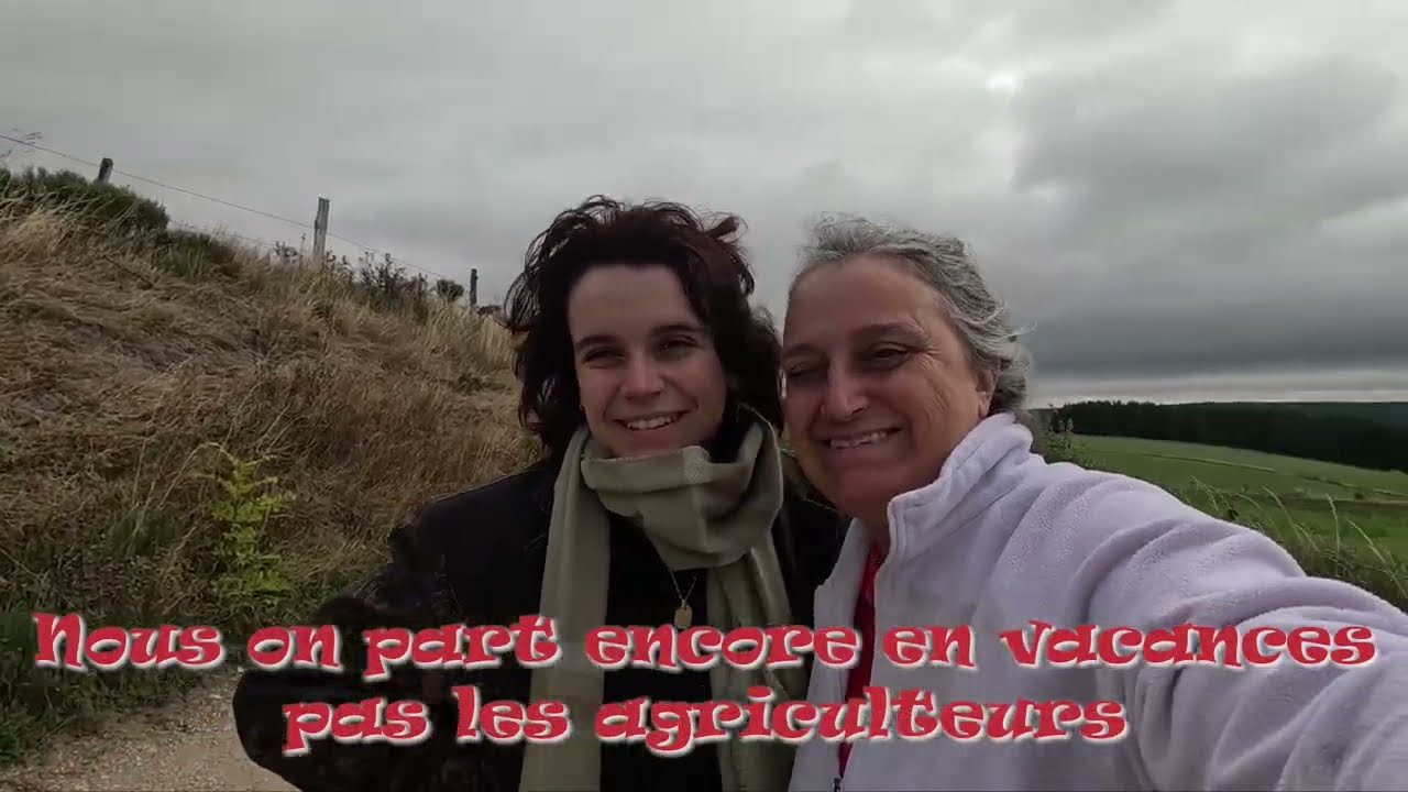 Soutien aux agriculteurs - L'avis des coccinelles