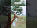 Clean Your Windows in Half the Time! (The Professional Secret) 🪟✨