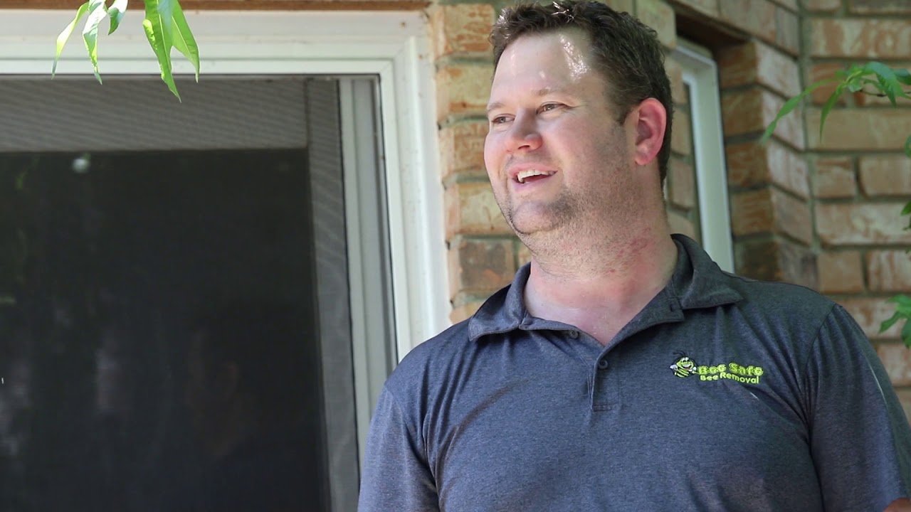 YOU can become a beekeeper! WE can help! | Bee Safe Bee Removal - Plano, TX