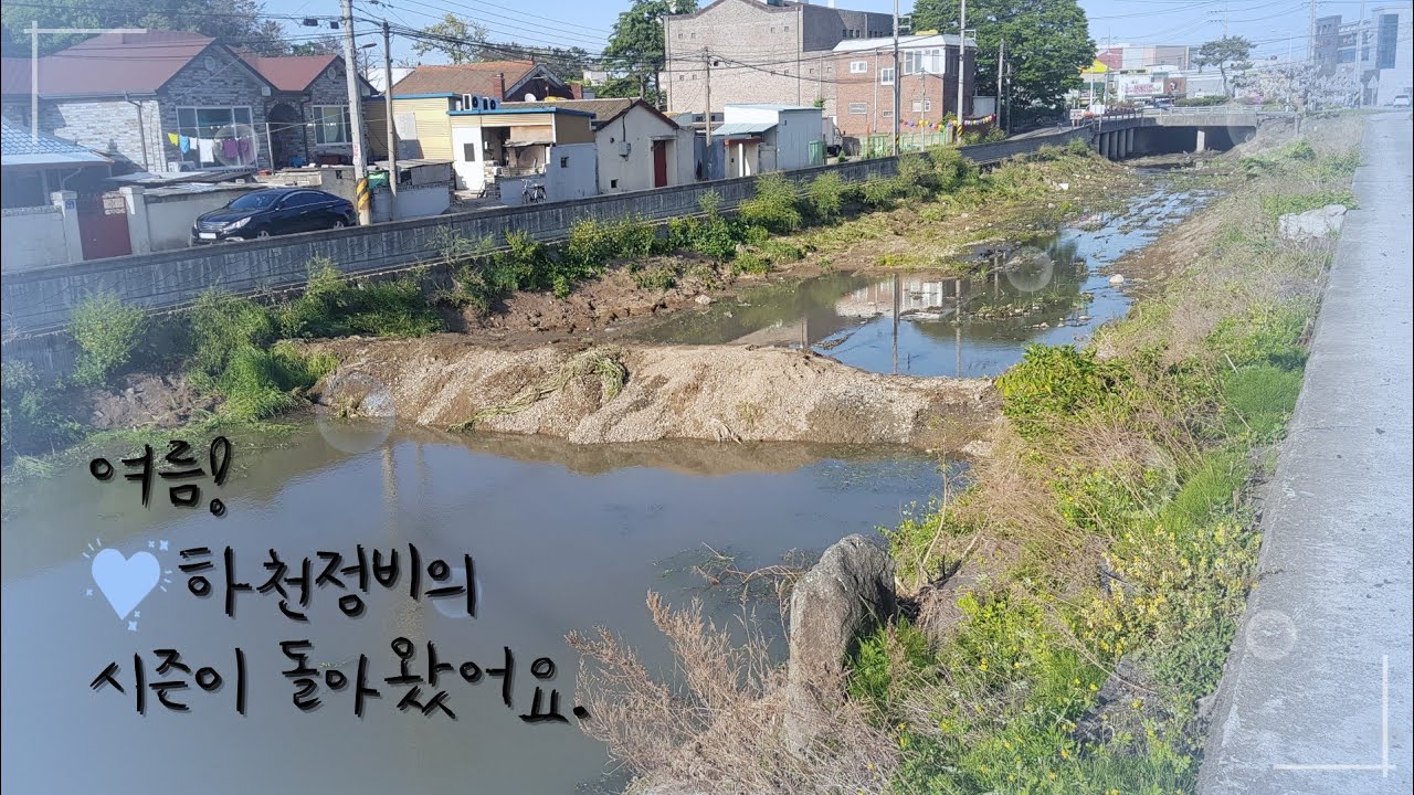 HD/굴삭기 2년차 초보/하천정비/풀정리/양수기 웅덩이/hx60amt