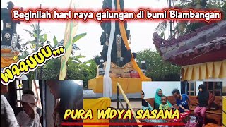 Download Lagu W44UUU,,,Begini hari raya galungan di bumi Blambangan,@bimayanto  MP3