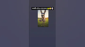 Https Vt Tiktok Com ZSSXspVbt 
