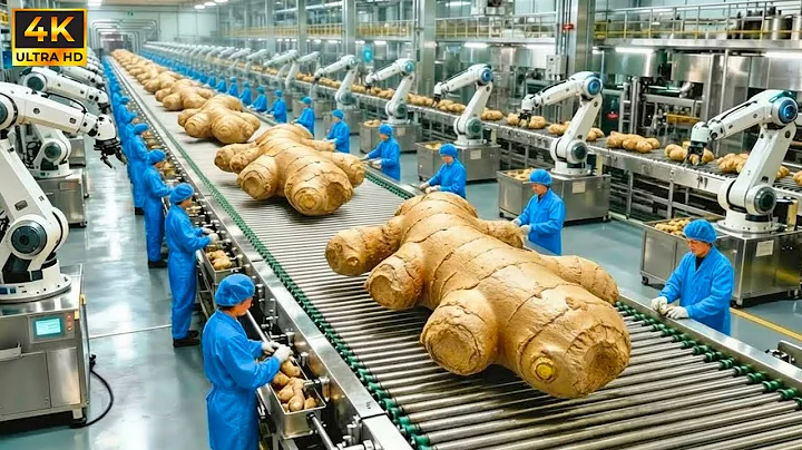 Inside the Modern Ginger Production Factory (The Complete Process)