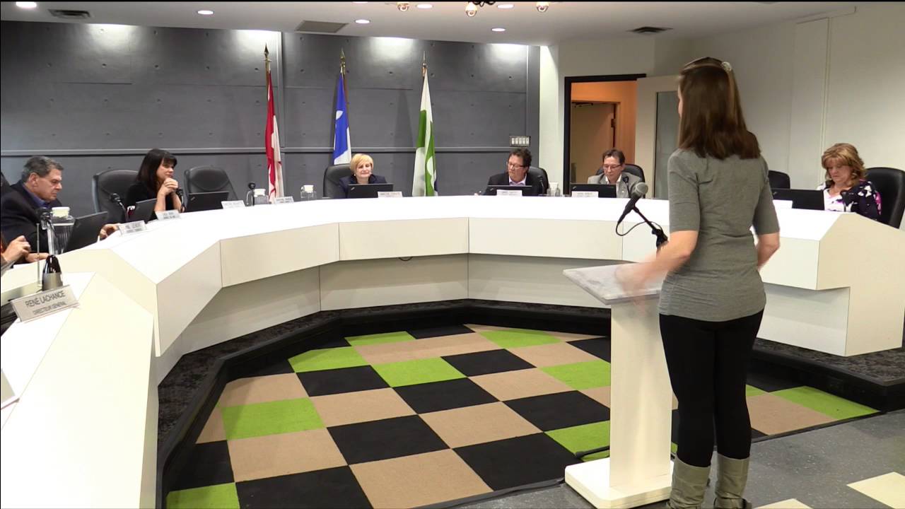 Séance du Conseil du 3 mai 2016