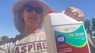 Testing Your Pool For Phosphates